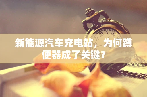 新能源汽车充电站，为何蹲便器成了关键？