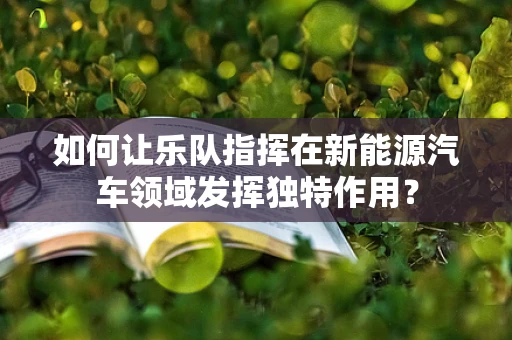 如何让乐队指挥在新能源汽车领域发挥独特作用？