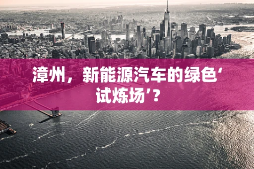 漳州，新能源汽车的绿色‘试炼场’？