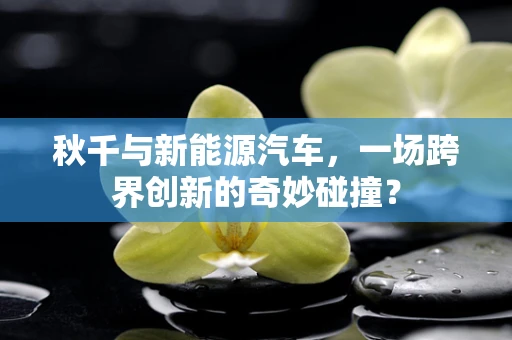 秋千与新能源汽车，一场跨界创新的奇妙碰撞？