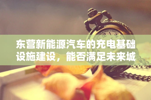 东营新能源汽车的充电基础设施建设，能否满足未来城市发展的需求？