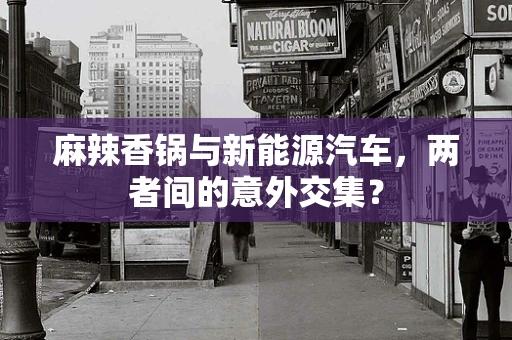麻辣香锅与新能源汽车，两者间的意外交集？