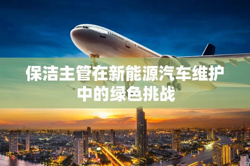 保洁主管在新能源汽车维护中的绿色挑战