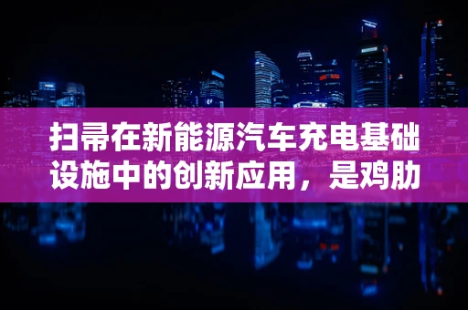 扫帚在新能源汽车充电基础设施中的创新应用，是鸡肋还是新机遇？