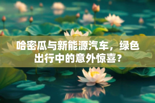 哈密瓜与新能源汽车，绿色出行中的意外惊喜？