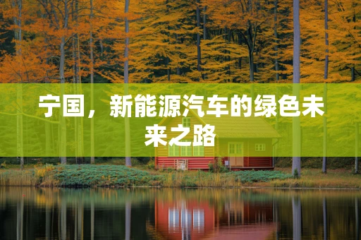 宁国，新能源汽车的绿色未来之路