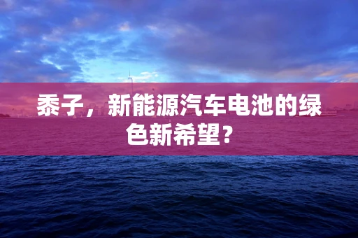 黍子，新能源汽车电池的绿色新希望？