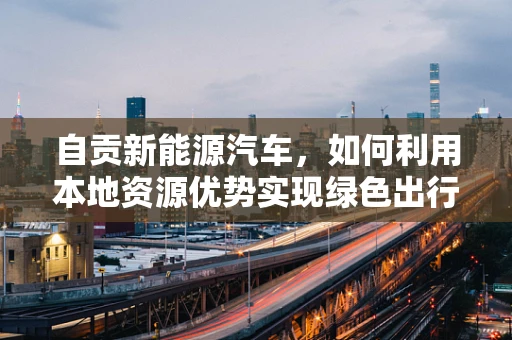 自贡新能源汽车，如何利用本地资源优势实现绿色出行？