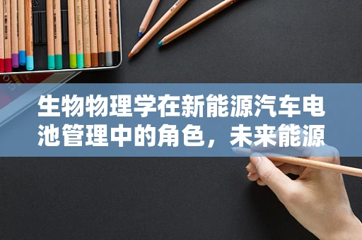 生物物理学在新能源汽车电池管理中的角色，未来能源的绿色密码？