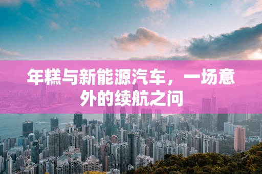 年糕与新能源汽车，一场意外的续航之问