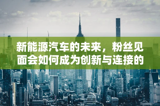 新能源汽车的未来，粉丝见面会如何成为创新与连接的桥梁？