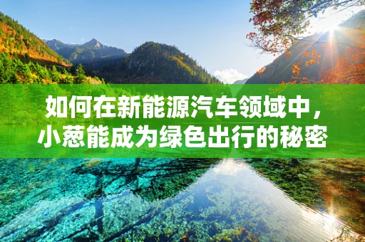 如何在新能源汽车领域中，小葱能成为绿色出行的秘密武器？