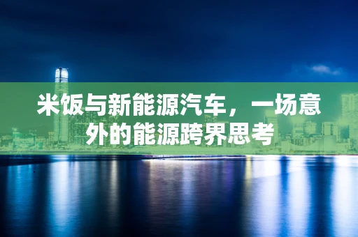 米饭与新能源汽车，一场意外的能源跨界思考