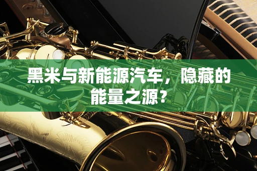 黑米与新能源汽车，隐藏的能量之源？
