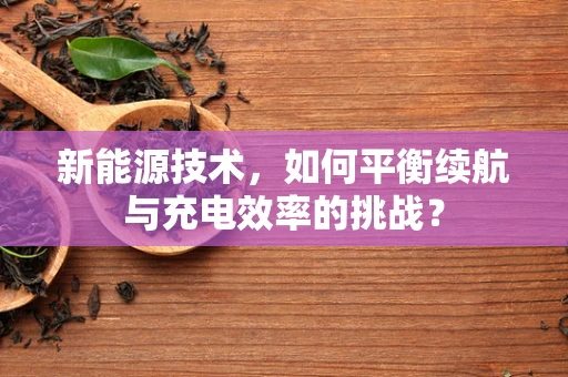 新能源技术，如何平衡续航与充电效率的挑战？