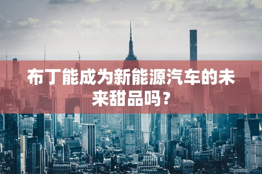 布丁能成为新能源汽车的未来甜品吗？