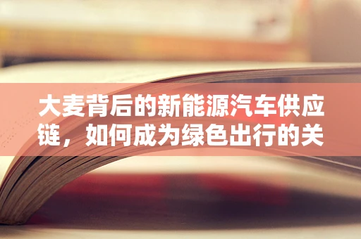 大麦背后的新能源汽车供应链，如何成为绿色出行的关键角色？