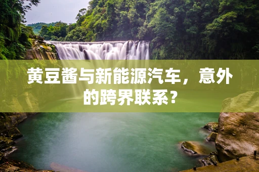 黄豆酱与新能源汽车，意外的跨界联系？