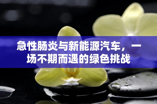急性肠炎与新能源汽车，一场不期而遇的绿色挑战