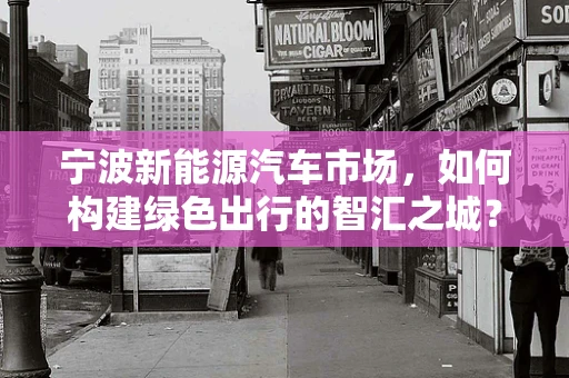 宁波新能源汽车市场，如何构建绿色出行的智汇之城？