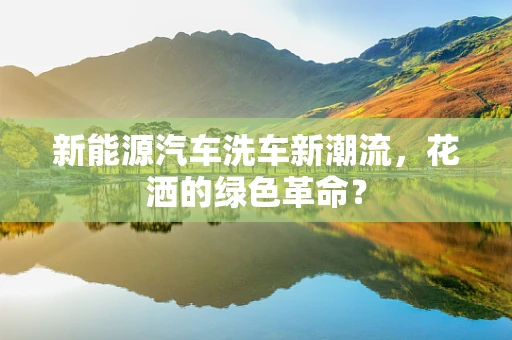 新能源汽车洗车新潮流，花洒的绿色革命？