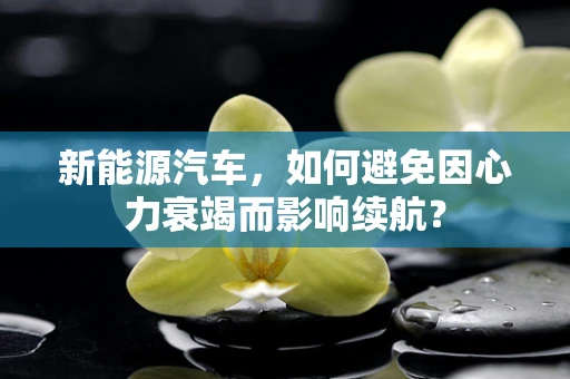 新能源汽车，如何避免因心力衰竭而影响续航？