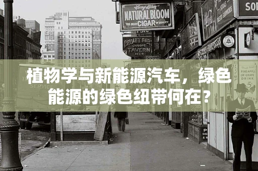 植物学与新能源汽车，绿色能源的绿色纽带何在？