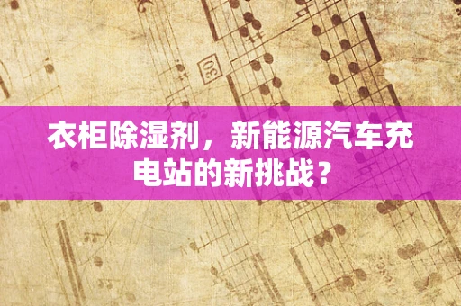 衣柜除湿剂，新能源汽车充电站的新挑战？