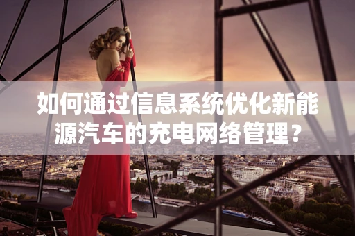 如何通过信息系统优化新能源汽车的充电网络管理？