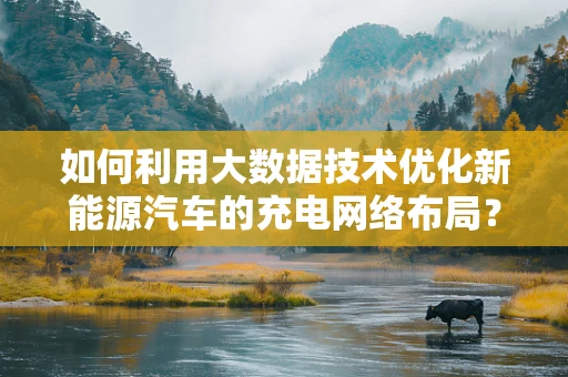如何利用大数据技术优化新能源汽车的充电网络布局？