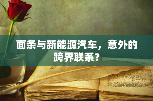 面条与新能源汽车，意外的跨界联系？