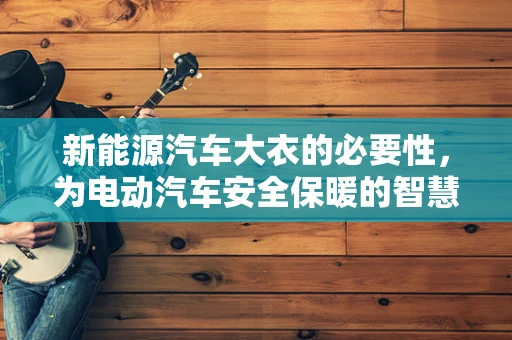 新能源汽车大衣的必要性，为电动汽车安全保暖的智慧之选？