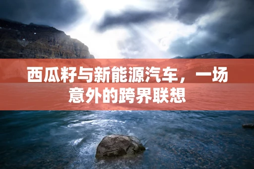 西瓜籽与新能源汽车，一场意外的跨界联想