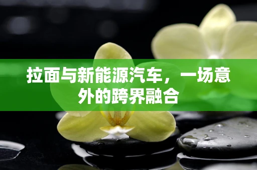 拉面与新能源汽车，一场意外的跨界融合