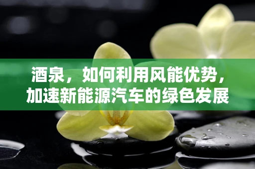 酒泉，如何利用风能优势，加速新能源汽车的绿色发展？