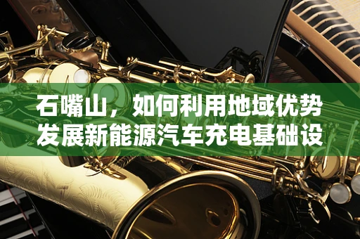石嘴山，如何利用地域优势发展新能源汽车充电基础设施？