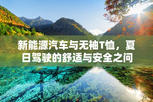 新能源汽车与无袖T恤，夏日驾驶的舒适与安全之问