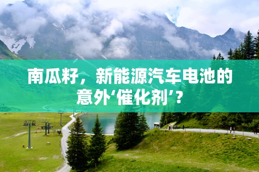 南瓜籽，新能源汽车电池的意外‘催化剂’？