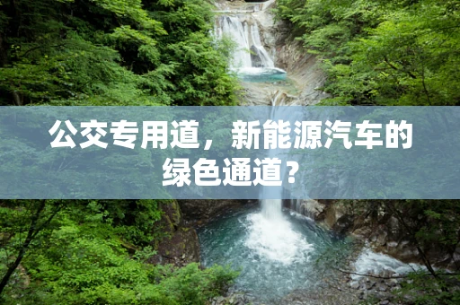 公交专用道，新能源汽车的绿色通道？