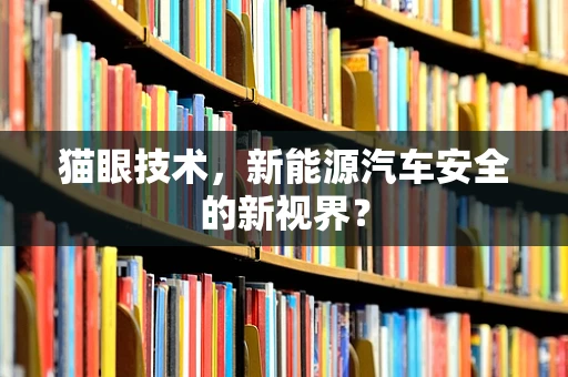 猫眼技术，新能源汽车安全的新视界？