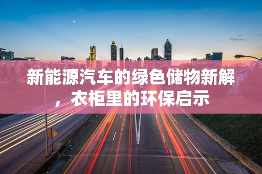 新能源汽车的绿色储物新解，衣柜里的环保启示