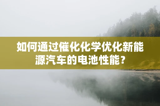 如何通过催化化学优化新能源汽车的电池性能？
