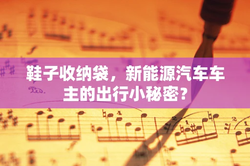 鞋子收纳袋，新能源汽车车主的出行小秘密？