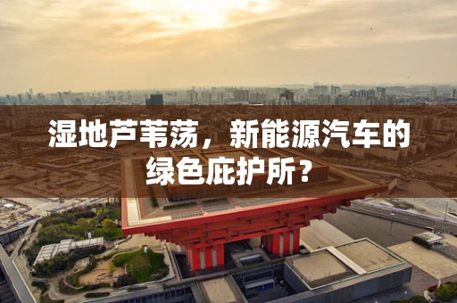 湿地芦苇荡，新能源汽车的绿色庇护所？