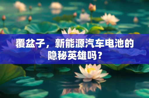 覆盆子，新能源汽车电池的隐秘英雄吗？