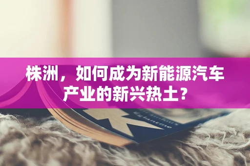 株洲，如何成为新能源汽车产业的新兴热土？