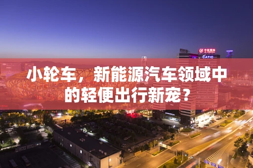 小轮车，新能源汽车领域中的轻便出行新宠？