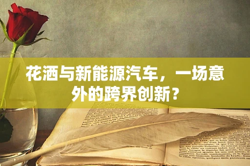 花洒与新能源汽车，一场意外的跨界创新？