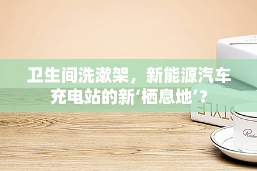 卫生间洗漱架，新能源汽车充电站的新‘栖息地’？