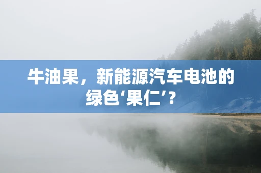 牛油果，新能源汽车电池的绿色‘果仁’？